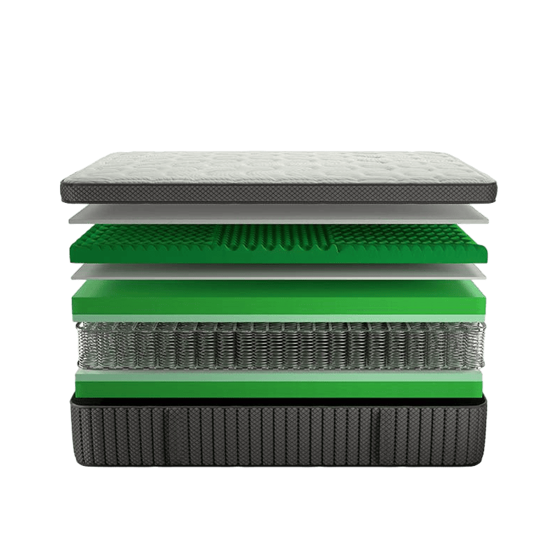 Z3-DORSOPEDIC GENIUS SERIE 15 PLUS – Image 2