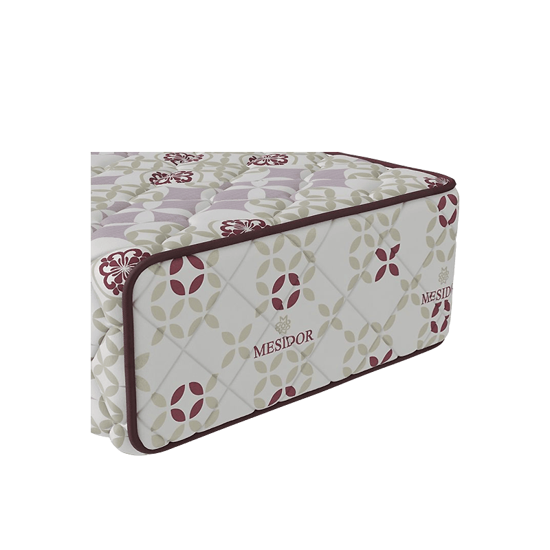 MESIDOR NILE BORDEAUX – Image 2