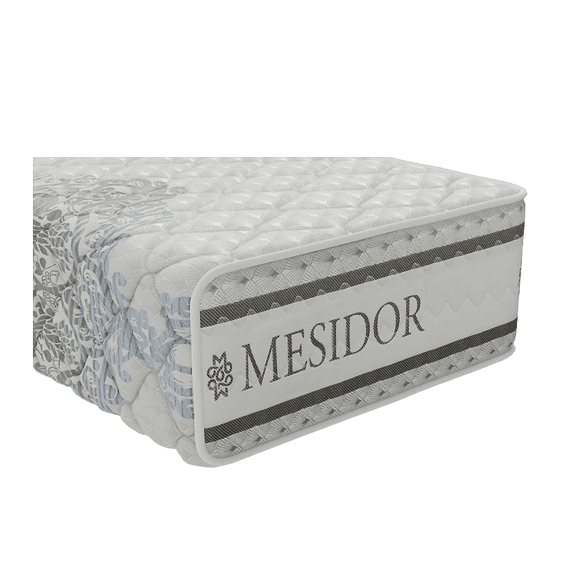 MESIDOR ARENE GRIS – Image 3